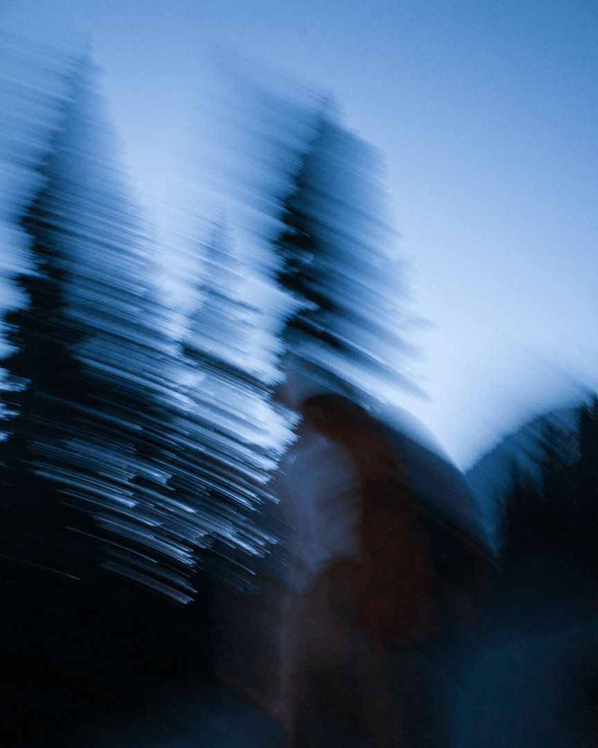 gallery image, click to stop and drag