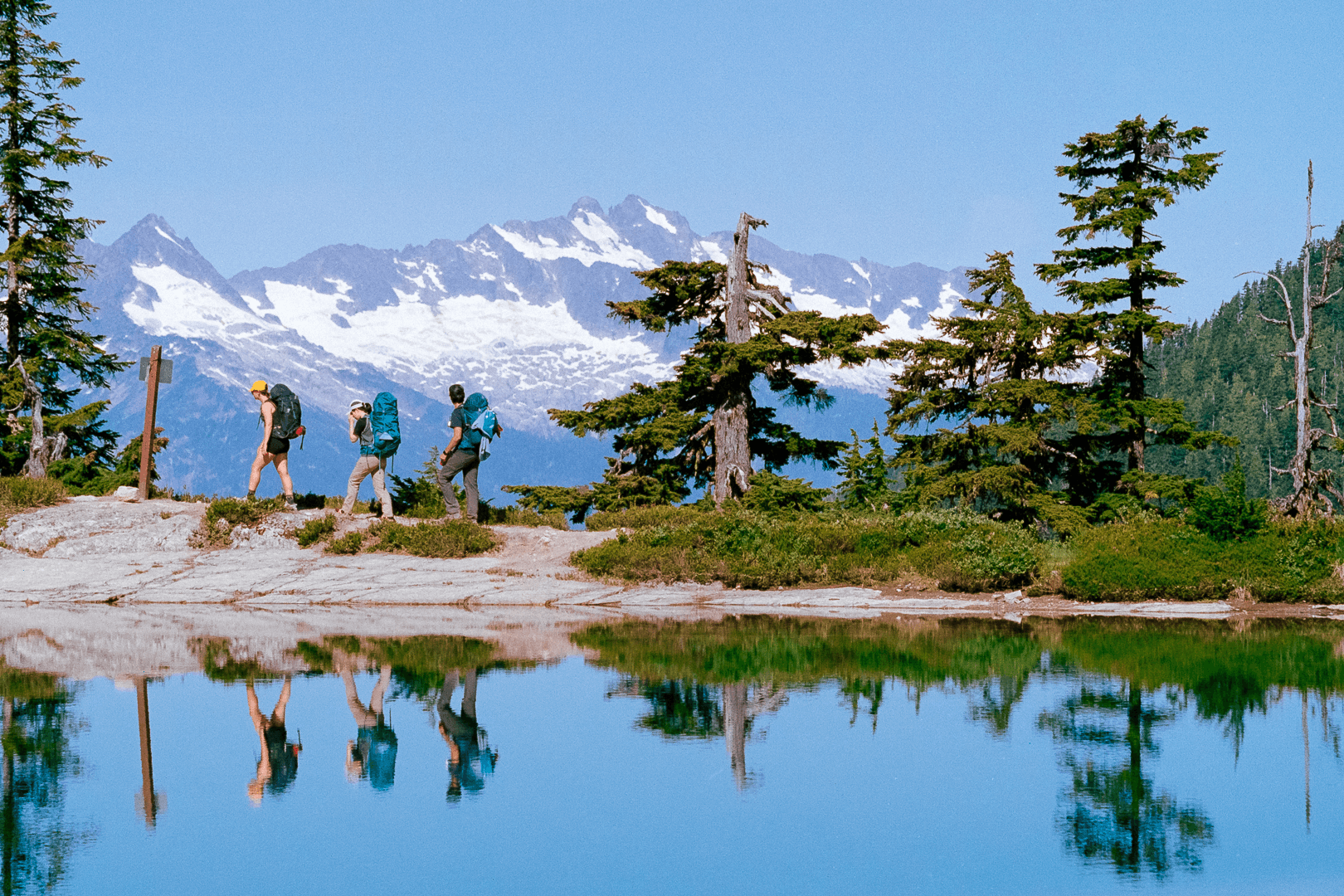 gallery image, click to stop and drag