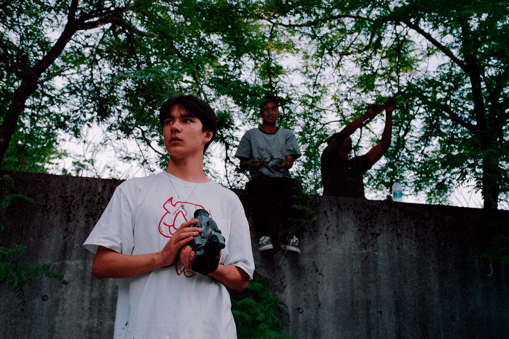 gallery image, click to stop and drag