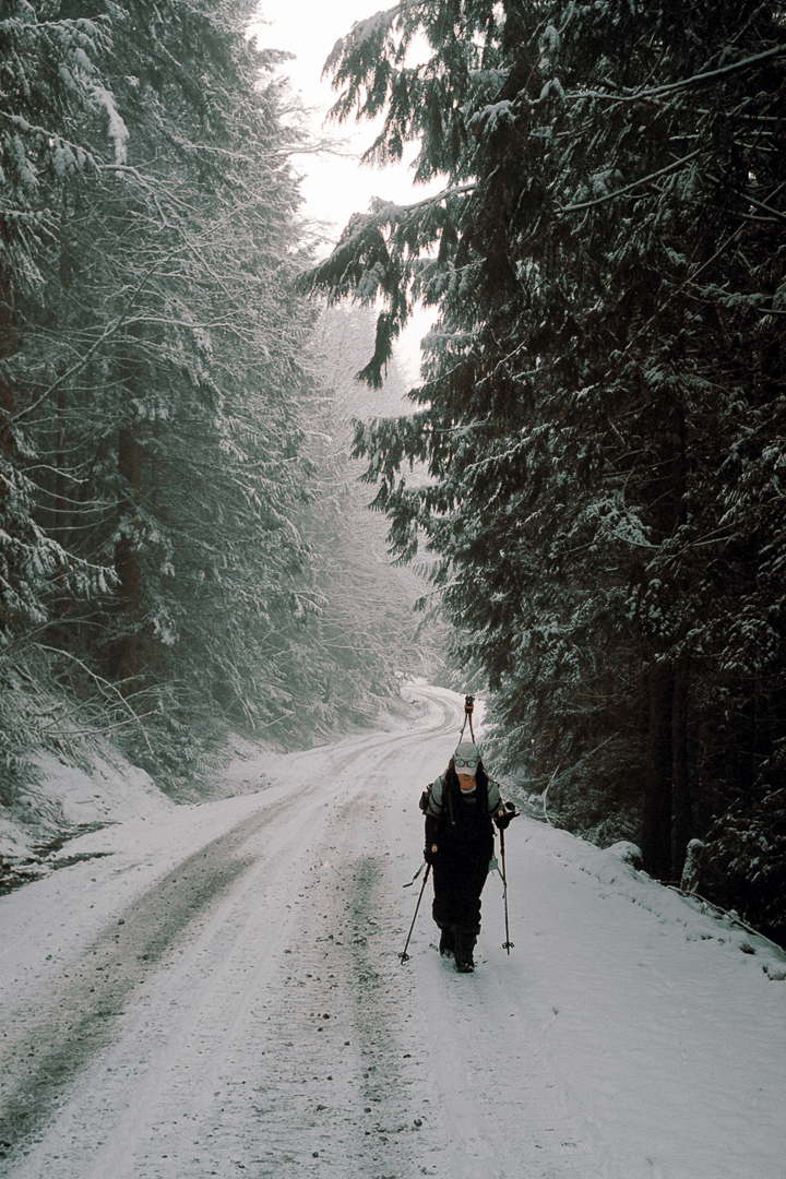 gallery image, click to stop and drag